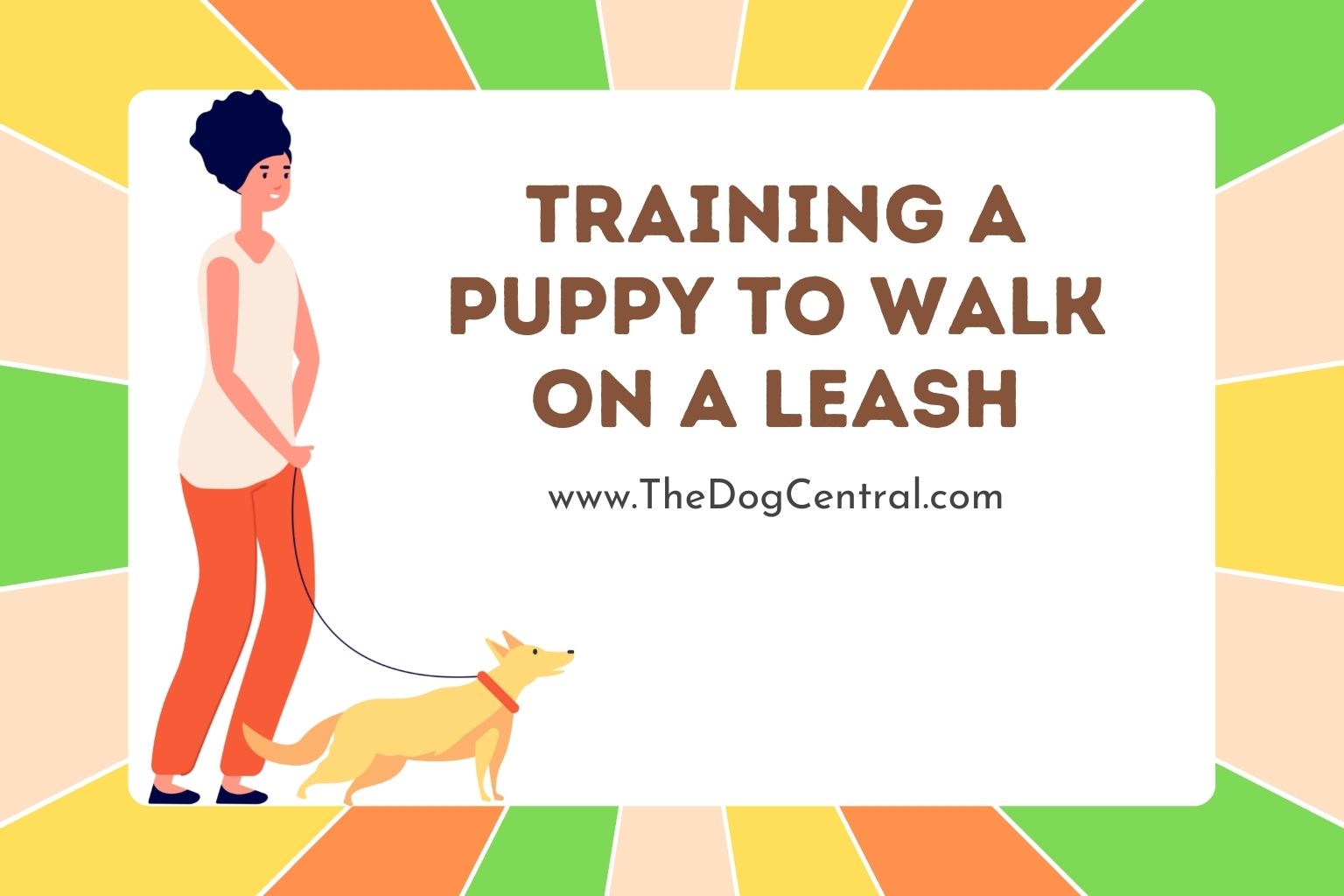 How to Train a Puppy to Walk on a Leash