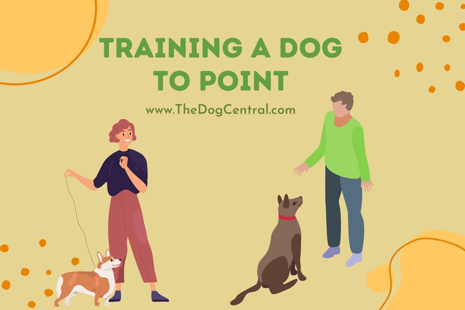 Training a Dog to Point
